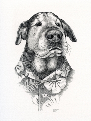 Dog Portrait