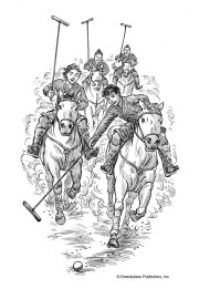 Polo Match
